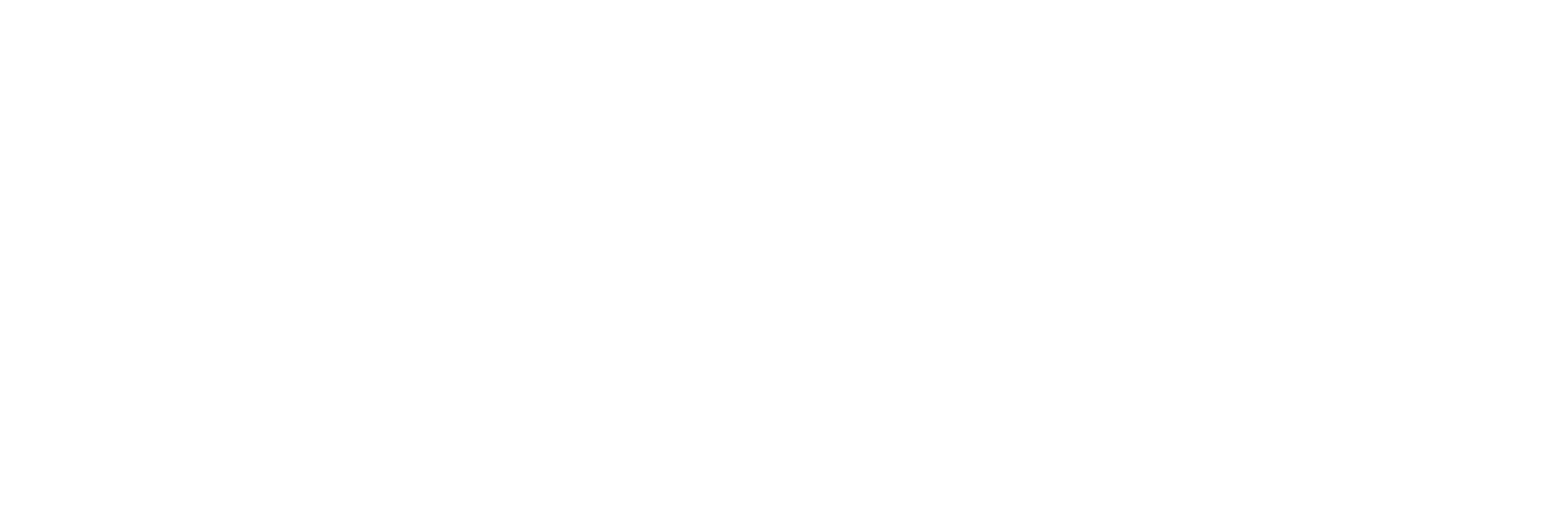 ISS Logo white